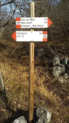 E431B-ldp003-00-d1-170225-LT (7 visite) E431B-ldp003-00-d1-170225-LT