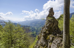 E432-06-Vista-verso-Lavarone-140517-PG