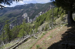 E432-18-Prossimi-al-rif-Casarote-140517-PG