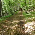 IMG-6337