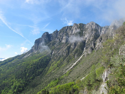 IMG-6352
