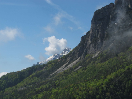 IMG-6353