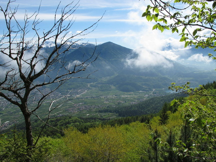 IMG-6362