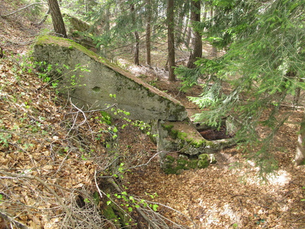 IMG-6390