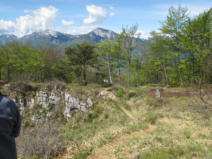 IMG-6412