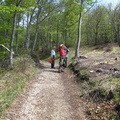 IMG-6416