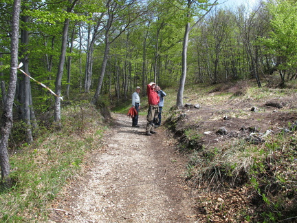 IMG-6416