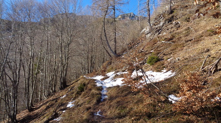 DSC00970