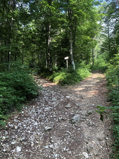 E442-ldp001-10-p01-230711-ED