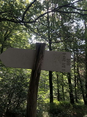 E442-ldp001-30-d02-230711-ED