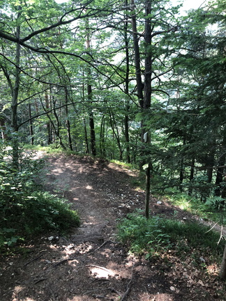 E442-ldp001-30-p02-230711-ED (45 visite) E442-ldp001-30-p02-230711-ED