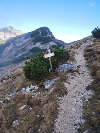 E442ldp-005-00-p01-20241022-CR (181 visite) E442ldp-005-00-p01-20241022-CR