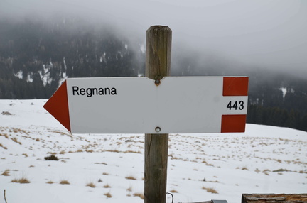 E443-ldp003-04-d01-ED