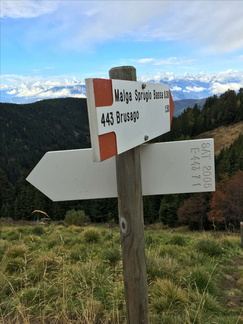 E443-ldp007-00-d05-161018-ED