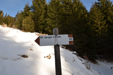 E443-ldp009-00-d01-171216-ED