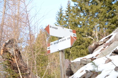 E443-ldp010-00-d01-171216-ED