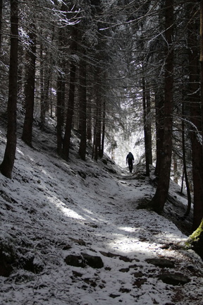 E443A-variantebassaE5-2012-05-16-TD21