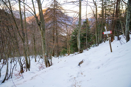 E444-ldp003-00-p02-171221-PG