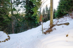 E445-ldp005-00-p02-171221-PG