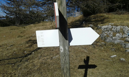 E446-ldp014-00-d2-170108-LT