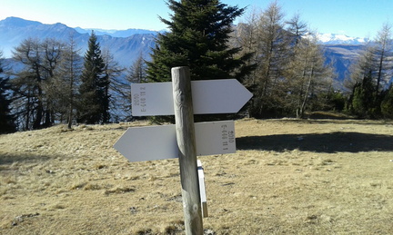 E446-ldp014-00-d3-170108-LT