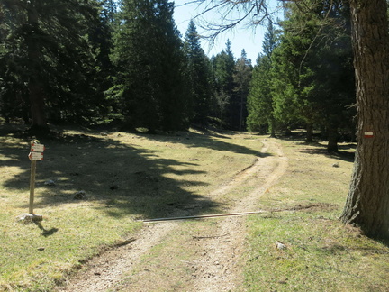 E446-ldp015-00-p02-170423-NK