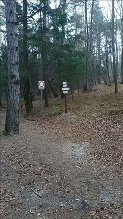 E446B-ldp003-00-p2-161231-LT (4 visite) E446B-ldp003-00-p2-161231-LT