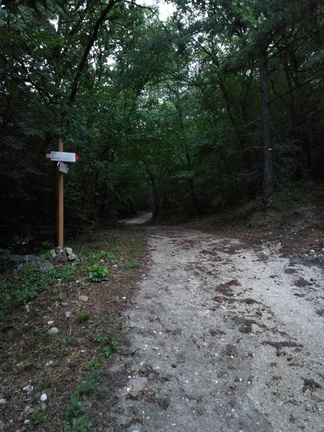 E447-ldp002-00-p3-170720-LT