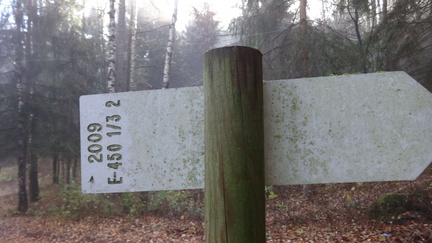 E450-ldp001-03-d02-171108-ED