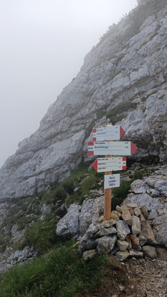 E450-ldp010-00-p01-241507-RZ (184 visite) E450-ldp010-00-p01-241507-RZ