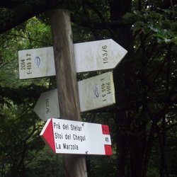 ldp