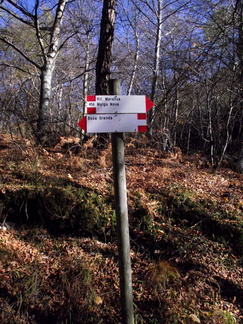 E456-ldp002-00-d1-171114-FG-3541