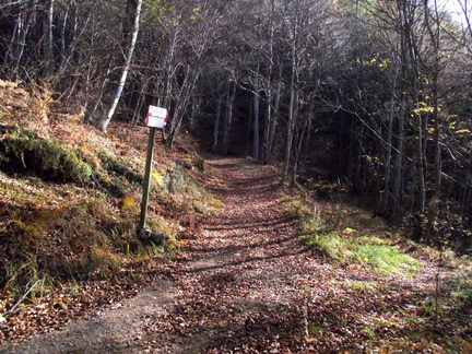 E456-ldp002-00-p1-171114-FG-3543