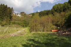 E463-Cembra-Baselga-td-6