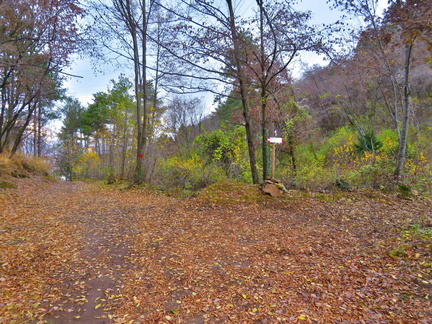 E464-ldp003-00-p01-161127-EM