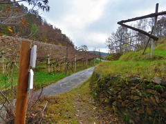 E464-ldp005-00-p02-161127-EM