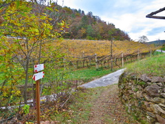 E464-ldp005-00-p1-161113-EM-9849