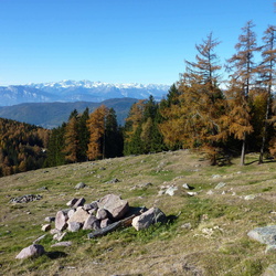 sentiero
