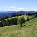 E468-Vernera-Cogne-td-02