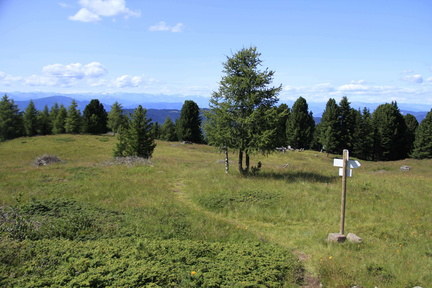 E469-ldp009-00-p1-120718