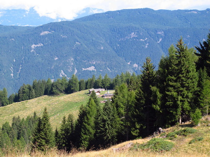 E469-170808-EG-0061-da-MalgaVernera-Alta-verso-Malga-Vernera-Bassa