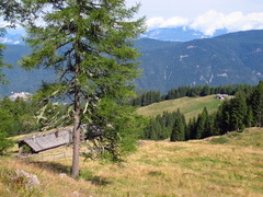 E469-170808-EG-0062-Malghe-Vernera