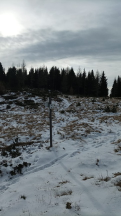 E469A-ldp002-00-p01-241125-FB