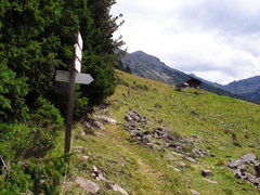 E470-ldp003-00-p4-170808-EG-0036