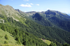 E470-VasonidaCogne-td