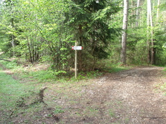 E471-ldp13-01-p1-160520