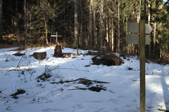 E473-ldp005-00-td-70