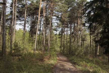 E473A-strada-Acquadiva