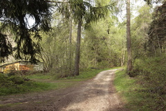 E473A-strada-for-Acquadiva-01
