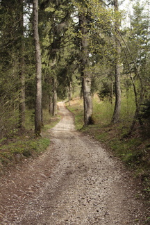 E473A-strada-for-Acquadiva-04